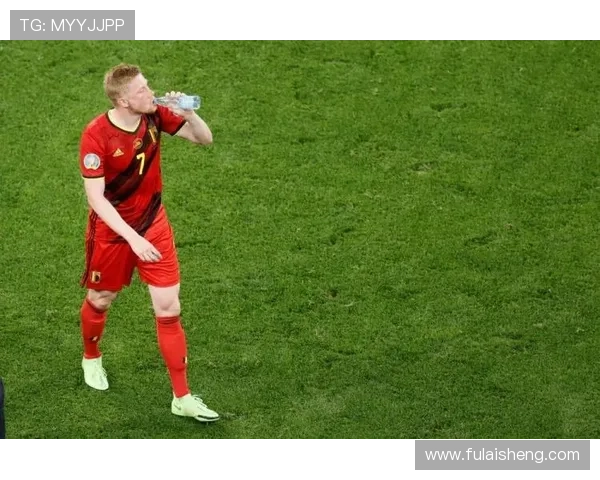 内兰德欧洲杯（欧洲杯德布劳内图片）sports