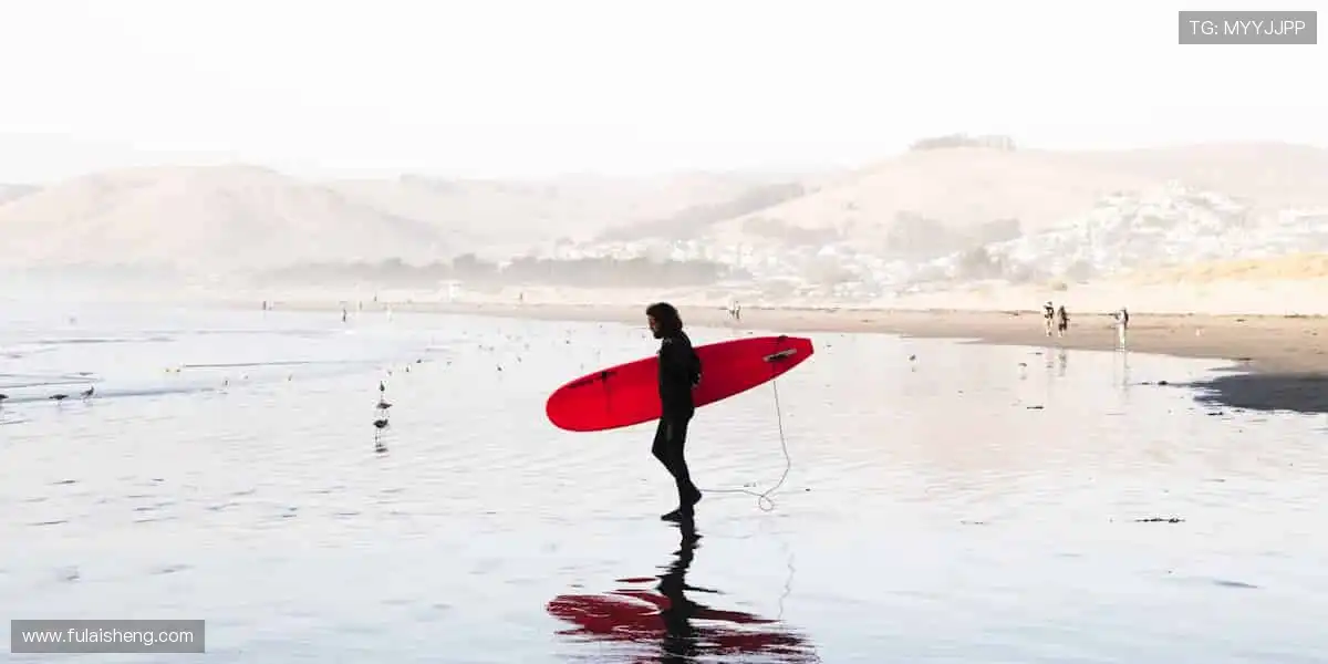 ✨ 下一个冠军，从点击开始！
